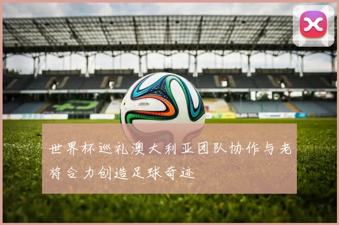 世界杯巡礼澳大利亚团队协作与老将合力创造足球奇迹