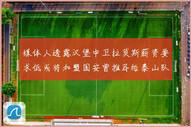媒体人透露汉堡中卫拉莫斯薪资要求低或将加盟国安曾推荐给泰山队